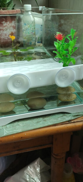 森森乌龟缸带晒台龟缸乌龟别墅生态养龟的专用缸家用鱼缸玻璃缸能不能养几斤的巴西龟啊？