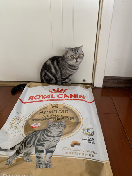 ROYALCANIN你们的猫咪吃了有拉肚子的现象吗，我的猫咪现在拉肚子，医生怀疑是猫粮买到假货了？