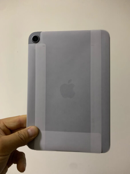 Apple「教育优惠版」iPad mini 8.3英寸平板电脑 2021年款（256GB WLAN版什么时候有货啊？？