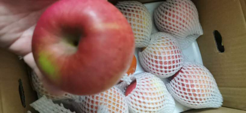 烟台红富士苹果5kg装有磕碰的痕迹吗？