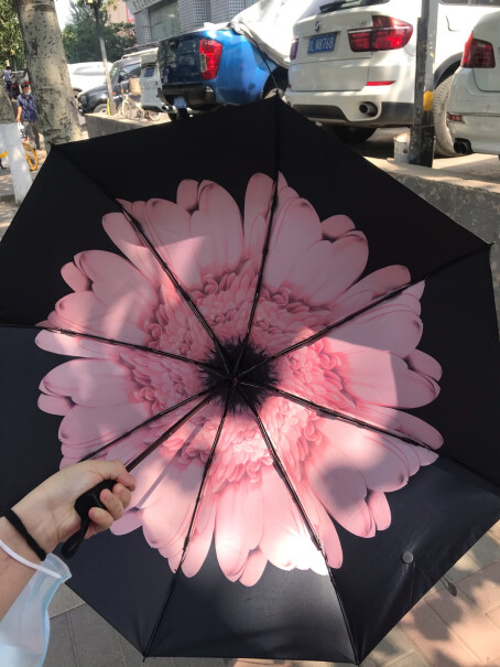 雨伞雨具C'mon胭脂粉雏菊使用体验,全方位评测分享！