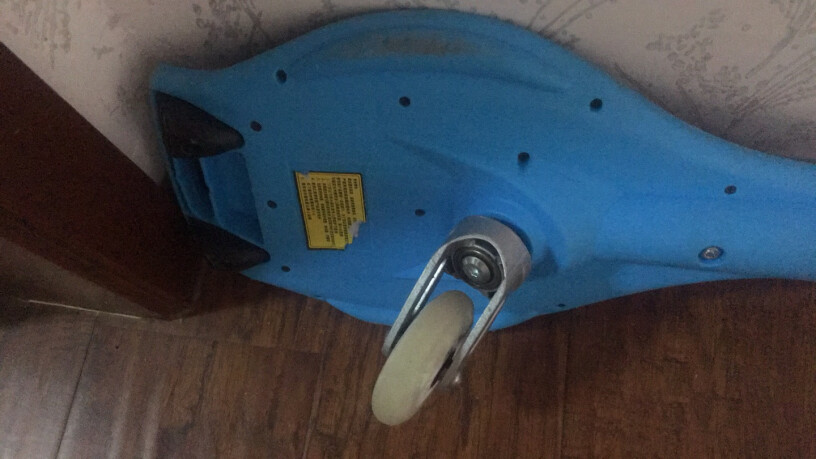 其它轮滑滑板儿童滑板二轮活力板成人两轮游龙蛇板滑板车蓝色火焰好用吗？哪个更合适？