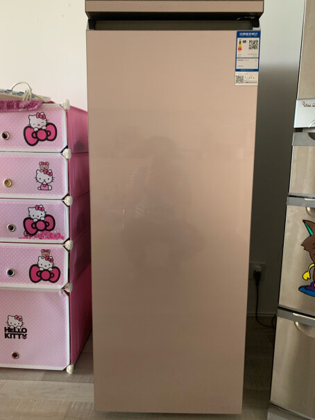 海尔377升卧式展示柜冷藏柜你拍发的是粉色的么？