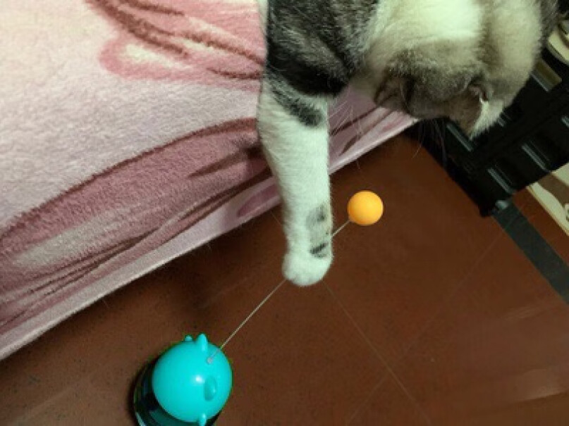 憨憨乐园猫玩具剑麻球逗猫玩具猫猫玩球时会有声音吗？