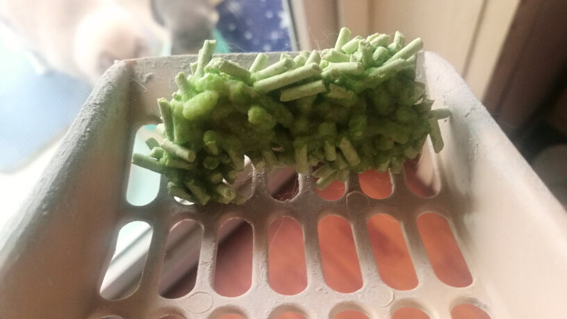 N1绿茶豆腐猫砂3包套装京东专供款升级2.0小颗粒气味会导致过敏吗？