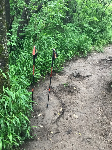 登山攀岩BlackDiamond黑钻质量好吗,性价比高吗？