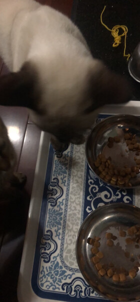 ROYALCANIN貓貓偏瘦 四歲了 一直吃你家的shi