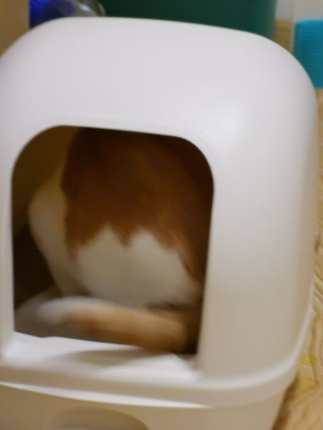 猫砂盆日本进口佳乐滋双层猫砂盆套装使用感受大揭秘！3分钟告诉你到底有没有必要买！