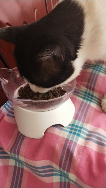 卫仕猫粮全价全阶段10kg吃了这个猫粮拉的粑粑怎么是黑色的？
