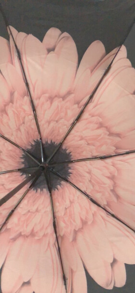 C'mon胭脂粉雏菊这把性价比怎么样，防晒效果如何，伞骨质量好不啦？