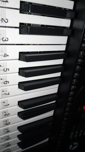 美科MK-97561键钢琴键多功能智能电子琴儿童初学乐器这个成人可以吗？