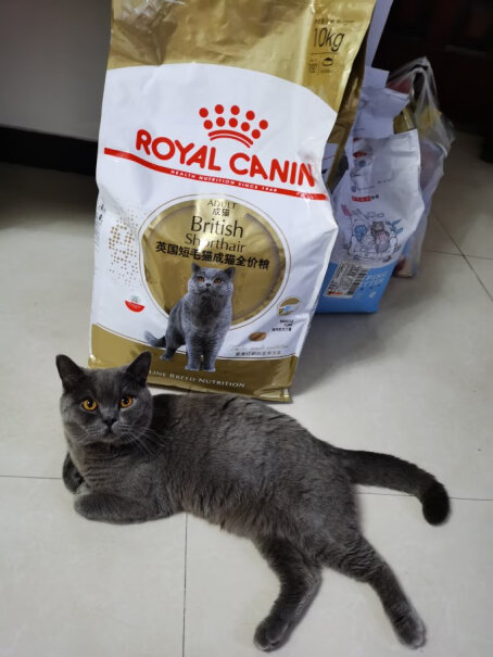 猫干粮ROYALCANIN评测报告来了！优缺点质量分析参考！