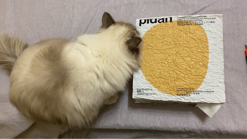 pidan混合猫砂升级活性炭款7L混合活性炭有香味吗？