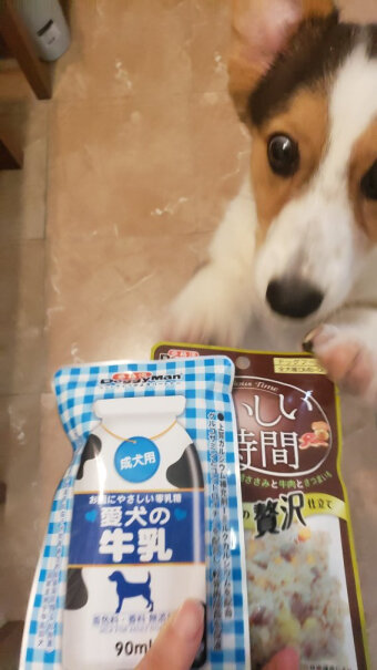 狗零食日本多格漫爱犬牛乳多少钱？来看看买家说法？