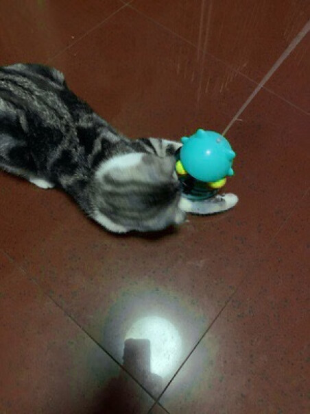 憨憨乐园猫玩具剑麻球逗猫玩具猫猫玩球时会有声音吗？