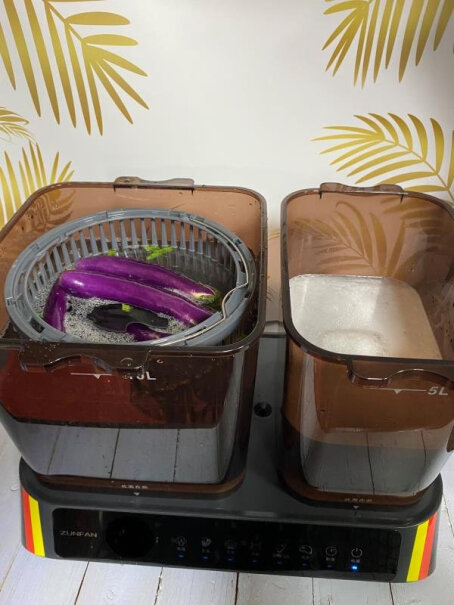 德国尊梵洗菜机家用全自动多功能餐具消毒机果蔬清洗机食材净化机洗的干净吗？