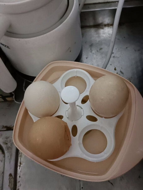 天际TONZE煮蛋器蒸蛋器鸡蛋羹蒸鸡蛋器蒸蛋机蒸饺子蒸馒头可以放得下玉米嘛？
