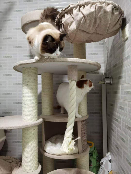 猫爬架兽牌猫爬架大型猫架猫窝一体评测教你怎么选,使用感受大揭秘！