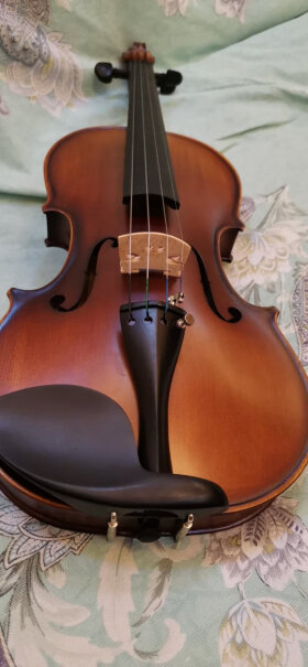 小提琴塞尔夫SCHAAF1只选对的不选贵的,评测哪款质量更好？