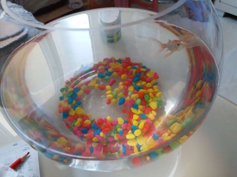 鱼缸-水族箱鱼麒麟玻璃金鱼缸小鱼缸小白必看！究竟合不合格？