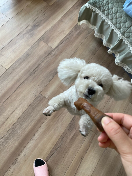 YAHO亚禾狗狗训练用零食两个月的泰迪能吃么，我家狗子特别爱咬东西，我寻思给它整点硬货，磨磨牙？
