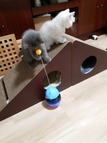 猫玩具憨憨乐园猫玩具剑麻球逗猫玩具最真实的图文评测分享！评测下来告诉你坑不坑？