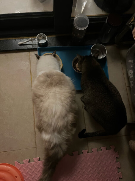 力狼猫零食冻干桶猫咪狗狗零食大礼包幼猫成猫冻干鸡胸肉多春鱼蛋黄增肥发腮猫粮深度剖析测评质量好不好！使用体验！