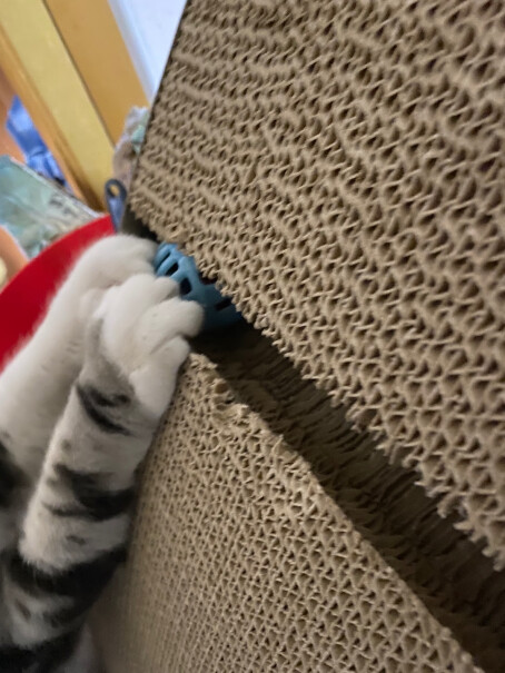 猫抓板伊丽猫咪立式猫抓板磨爪器猫抓柱防抓沙发瓦楞纸耐磨猫咪用品曝光配置窍门防踩坑！应该怎么样选择？
