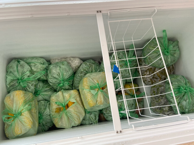 澳柯玛307升家用商用大容量冰柜商用雪糕大冰箱你好这冰柜是纯冷冻的吗？