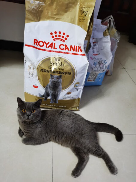 猫干粮ROYALCANIN评测报告来了！优缺点质量分析参考！