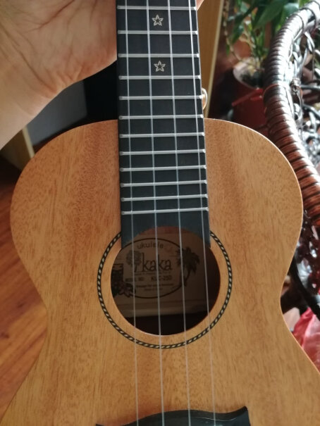 KAKA卡卡KUT-25D我会弹吉他，尤克里里靠自学能成才吗？