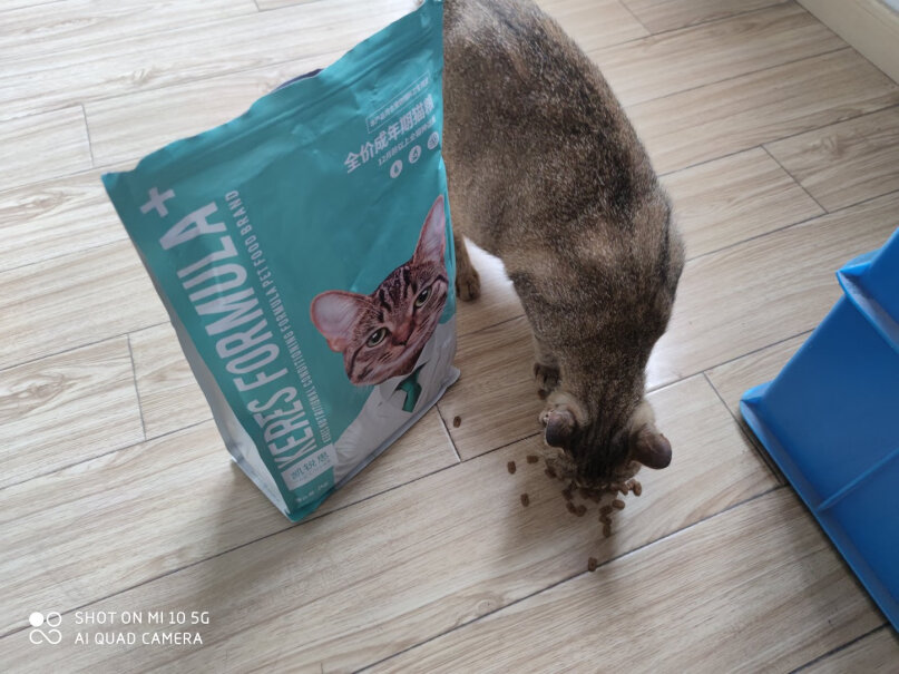 凯锐思幼猫猫粮1-4个月奶糕深海鱼三文鱼鱼肉幼猫粮天然粮这个一袋可以吃多久呢？