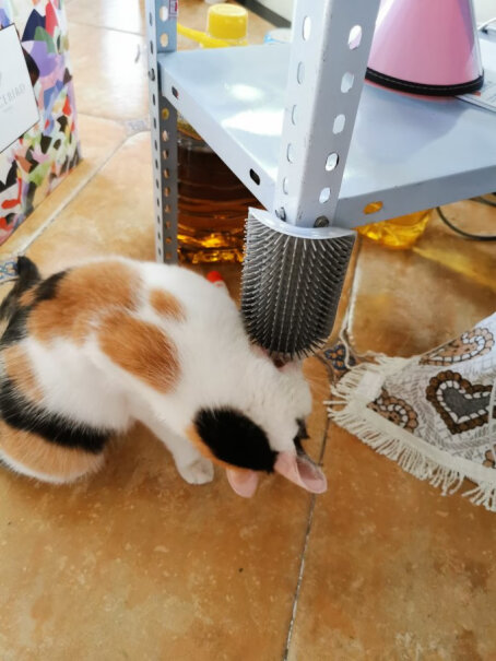 派乐特猫玩具墙角蹭毛器笼子里能用吗？