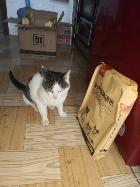 好主人猫粮室内天然粮5斤以前我家猫一直都吃的伟嘉 换一种会不会拉稀粑粑呢？
