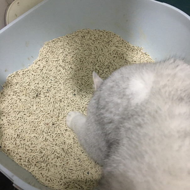 猫乐适膨润土猫砂特细原矿3秒结团低尘猫沙出口品质我家就一只英短。5斤左右。买大号还是特大的？