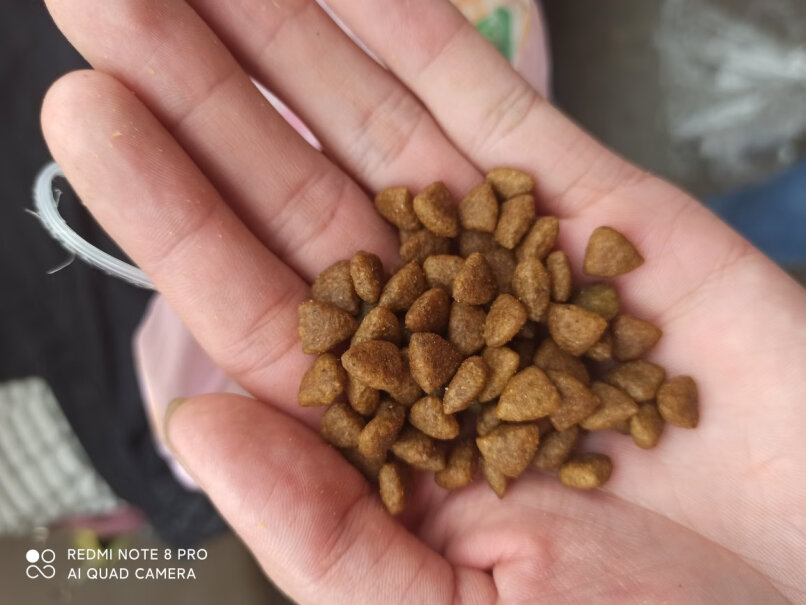 麦富迪宠物狗粮三个月的拉布拉多一天应该喂多少啊 感觉它永远都吃不饱？