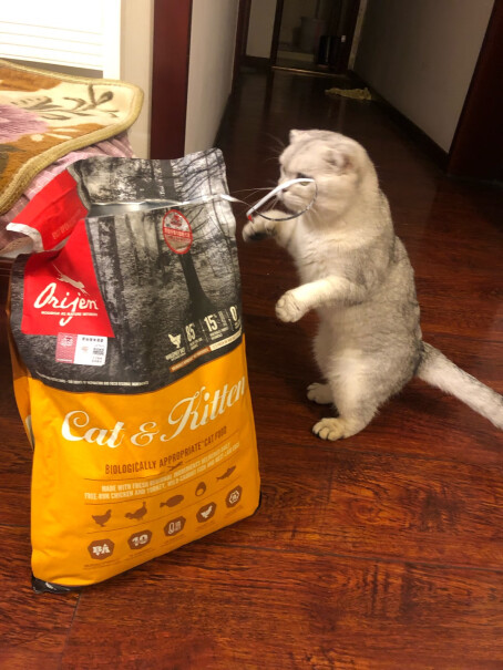 猫干粮渴望Orijen加拿大进口干粮全猫猫粮无谷六种鱼猫粮1KG评测教你怎么选,评测质量好吗？