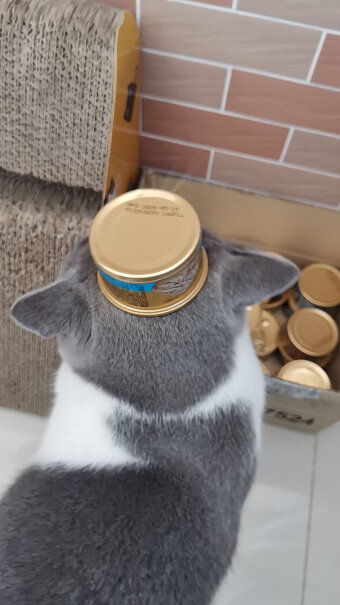 猫零食珍致猫罐头85g*24罐金枪鱼肉评测报告来了！评价质量实话实说？