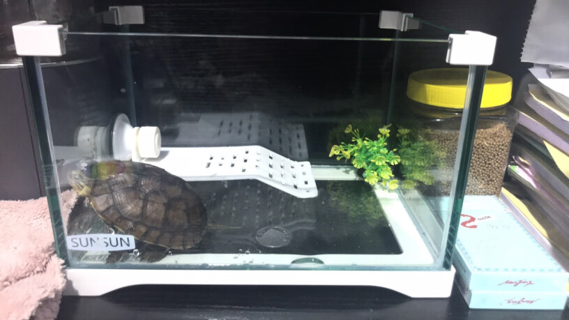 爬宠用品森森乌龟缸带晒台龟缸乌龟别墅生态养龟的专用缸家用鱼缸玻璃缸好用吗？评测报告来了！