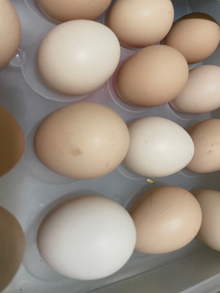 京东京造安心鲜鸡蛋 20枚初生蛋 15项安心检测评测结果好吗？只选对的不选贵的评测报告！