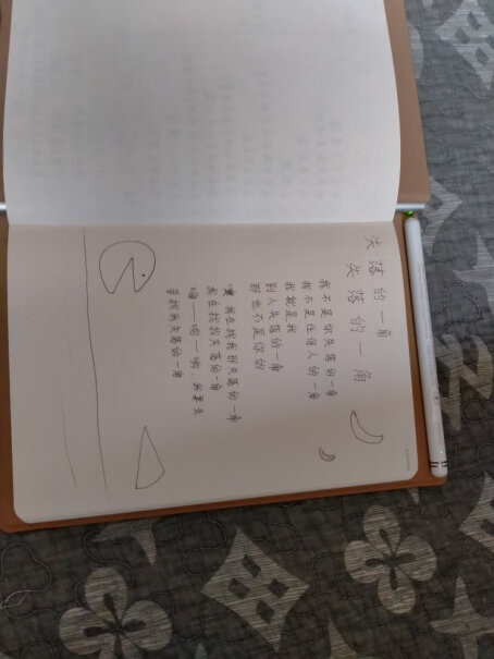 柔宇 RoWrite 2 手写本手写完拍照不就也一样吗 这个手写板的意义在哪？