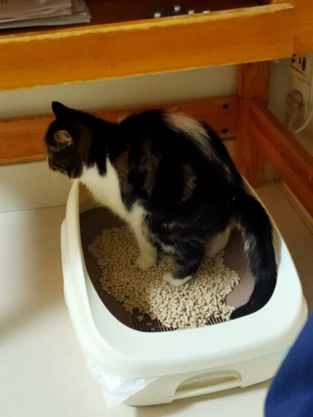 佳乐滋沸石猫砂除臭无尘庭院香型3.8L这个可以水洗么？