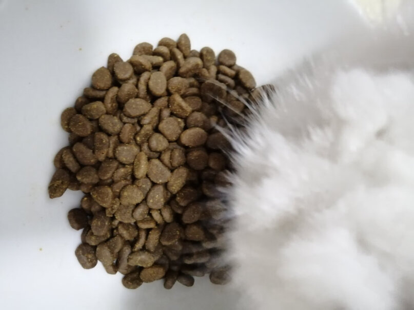 猫干粮渴望Orijen加拿大进口干粮全猫猫粮无谷六种鱼猫粮1KG内幕透露,评测报告来了！