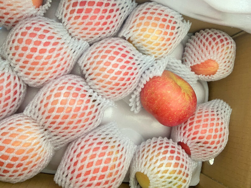 佳农烟台苹果2022.4.10 上海可以发嘛？