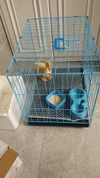 狗笼猫笼狗笼子小型犬中型犬泰迪比熊猫咪兔子用品三个月的萨摩耶可以用吗？