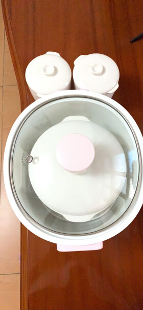 九阳电炖锅电炖盅隔水炖1.6L+0.5L*2陶瓷煮粥煲汤炖锅请可以直炖吗？