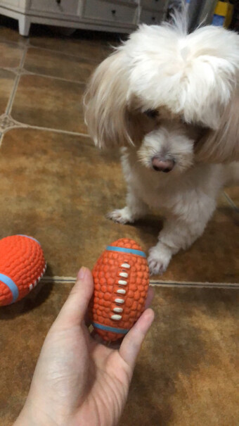 宜特大号乳胶排球狗狗玩具怎么玩，质量？