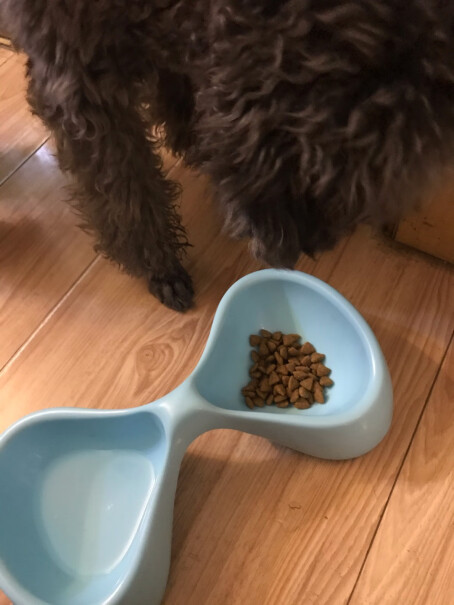 ROYALCANIN我家狗狗三个月干喂不嚼，只能泡水，可能每次一把一天四次太多了，这两天拉肚子呢？
