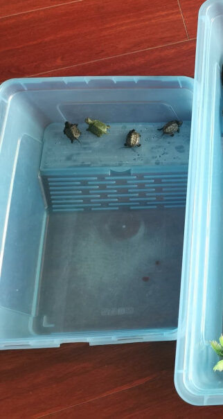 爬宠用品宠尚天乌龟缸带晒台小乌龟活物活体巴西龟宠物龟带龟缸多规格龟盆评测值得买吗,使用感受？