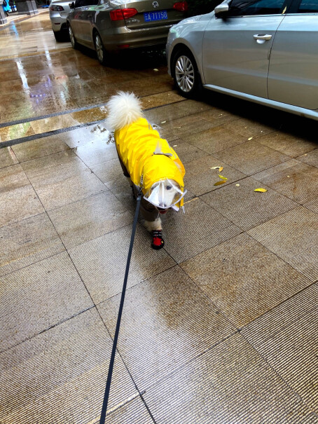 宠物鞋服智汇狗狗雨衣哪个更合适,使用体验？